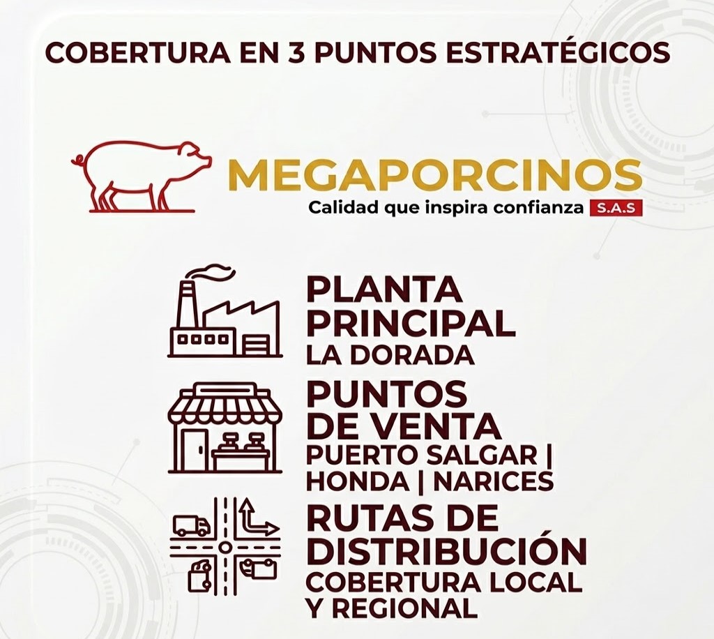 Puntos estratégicos